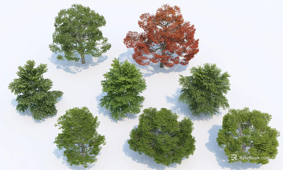 Various Tree Varieties with Green and Red Foliage in White Background 3d model