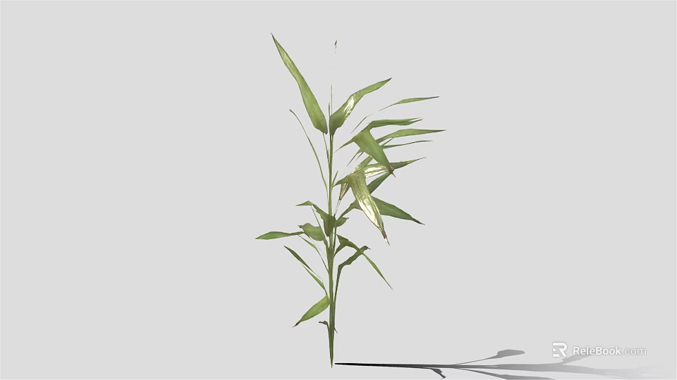 Fresh Green Bamboo Plant With Long Stems And Lush Leaves For Indoor Decor 3d model 