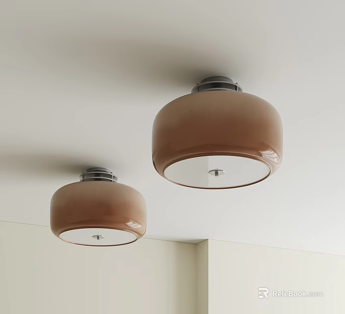 Two Brown Dome Shaped Ceiling Lights Mounted On White Room Ceiling 3d model