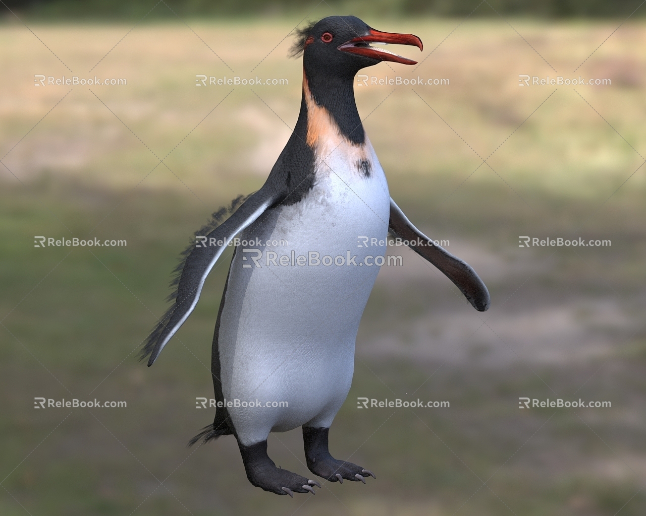 Knott's sword beak penguin giant penguin marine life animal 3d model