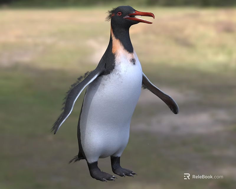 Aquatic Penguin With Black White Plumage And Orange Beak In Natural Habitat 3d model 