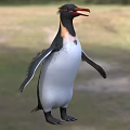 Aquatic Penguin With Black White Plumage And Orange Beak In Natural Habitat