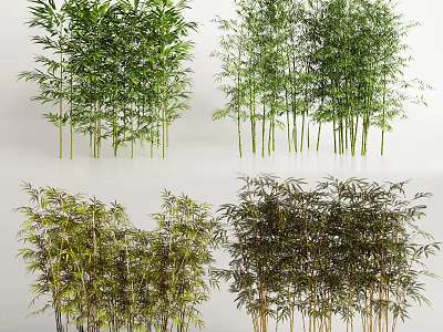 Various Bamboo Plants With Different Heights Green Leaves And Dense Clusters 3d model