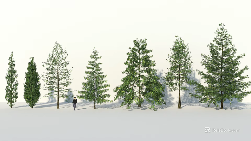 Diverse Arbor Tree Varieties With Pine Spruce and Walking Person 3d model