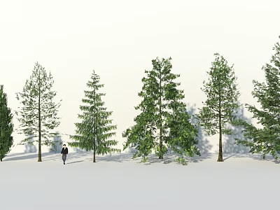 Diverse Arbor Tree Varieties With Pine Spruce and Walking Person 3d model