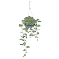 Lush Hanging Basket Green Plants With Trailing Fresh Leaves For Home Decor