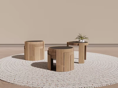 Three Wooden Round Side Tables On Woven Rug With Small Plant 3d model