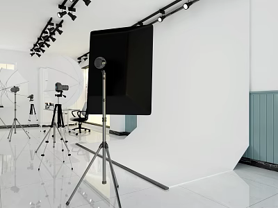 Professional Photography Studio Equipment With Tripod Reflector And Lighting Setup 3d model