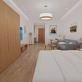 Cozy Modern Apartment Interior with Grey Sofa Bed Wooden Floor Coffee Table and Hanging Plants