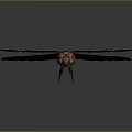Detailed 3D Dragonfly Model Featuring Blue Body Red Head And White Wings