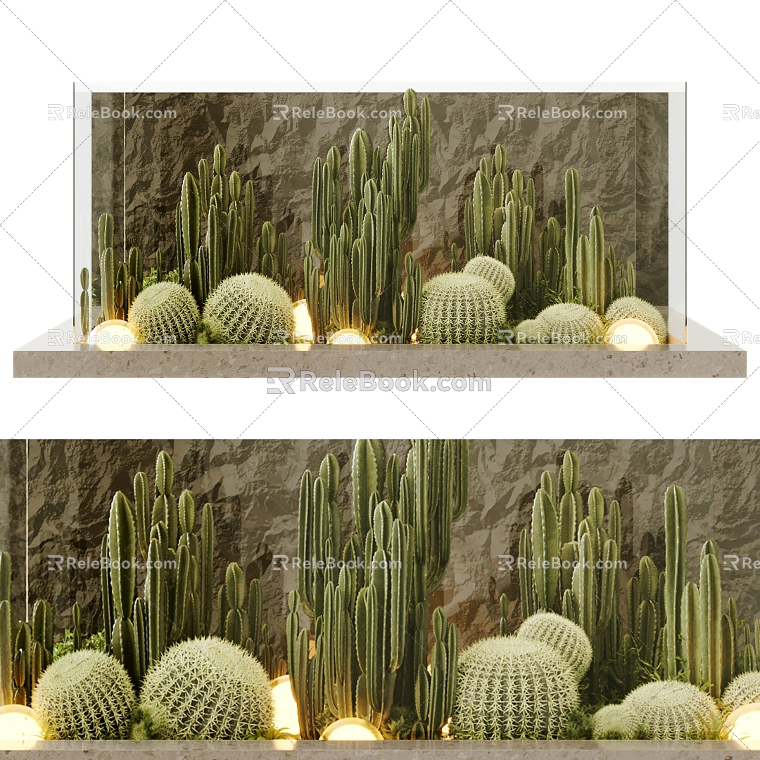 Green Plants Cactus Other Plant Landscape Landscape Sparkies Plant Stack Rock Background Wall Spherical Floor Lamp Rockery Stone 3d model