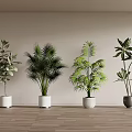 Potted Bonsai Plants in White and Gray Pots on Wooden Floor with Light Wall Background