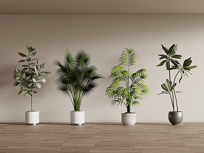 modern floor potted plant tree 3d model