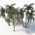 Stylish Outdoor Tree Pit Design With Palm Trees And Green Leaf Trees 3d model