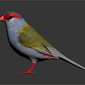 bird bird bird bird game animal cartoon animal animal realistic animal 3d model