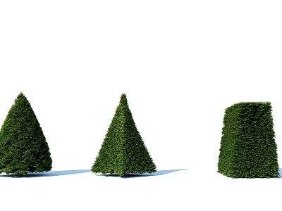 Three Green Well Trimmed Bushes Featuring Conical And Square Shaped Forms 3d model
