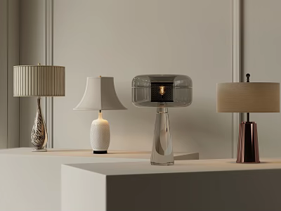 Modern Stylish Table Lamps With Ceramic Glass And Metal Bases On White Display Shelves 3d model