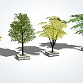 modern tree landscape tree arbor 3d model