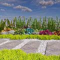 Ground Cover With Green Plants Colorful Flowers Gray Stones Stone Path White Gravel Blue Sky And White Clouds