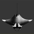 Black And White Manta Ray With Shiny Surface And Elegant Streamlined Body On Dark Background