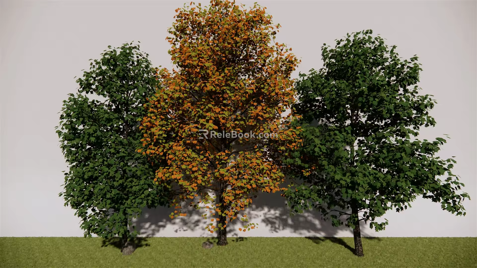 The Modern Tree 3d model