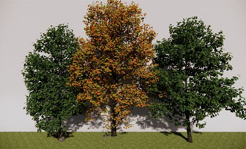 The Modern Tree 3d model