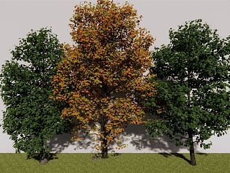 The Modern Tree 3d model