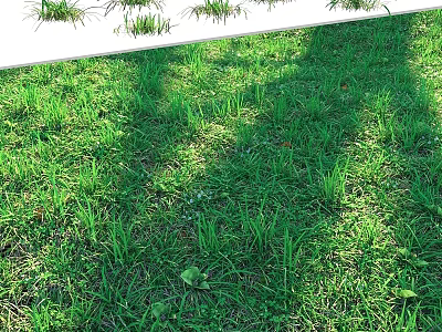Charming Small Garden Decor Elements in Sunlit Lush Green Grass Areas 3d model
