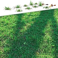 Charming Small Garden Decor Elements in Sunlit Lush Green Grass Areas