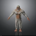 White Fur Muscular Animal Figure With Orange Belly In Standing Pose