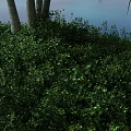 Tropical Island With Palm Trees Greenery Sandy Beach And Blue Water