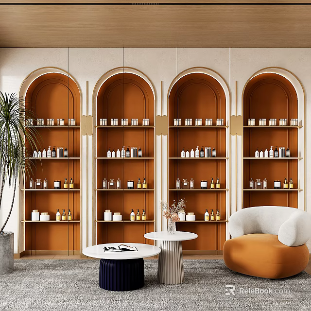 Modern Arched Brown Display Shelves With Gold Trim Potted Plant Armchair And Round Side Tables 3d model 