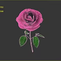 Beautiful Pink Rose Plant With Green Leaves And Stem On Gray Background