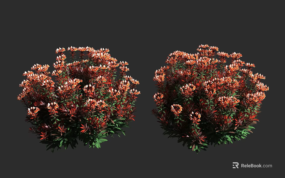 Vibrant Bushy Shrubs With Red And Orange Flowers Lush Green Leaves Rounded Shape 3d model 