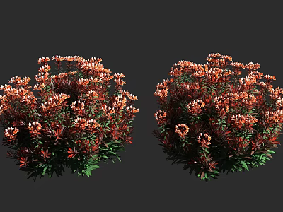 Vibrant Bushy Shrubs With Red And Orange Flowers Lush Green Leaves Rounded Shape 3d model