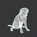 Black Labrador Dog Sitting With Collar And Tag On Dark Background