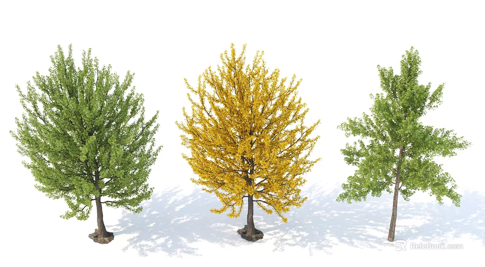Three Arbor Trees Featuring Green And Yellow Foliage In Natural Setting 3d model 