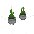Bonsai Potted Cactus Plants In Gray Pots With Black Spots On White Background
