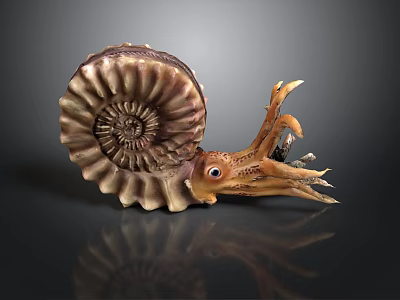Intricate Handcrafted Ammonite Sculpture With Detailed Tentacles And Artistic Shell Design 3d model