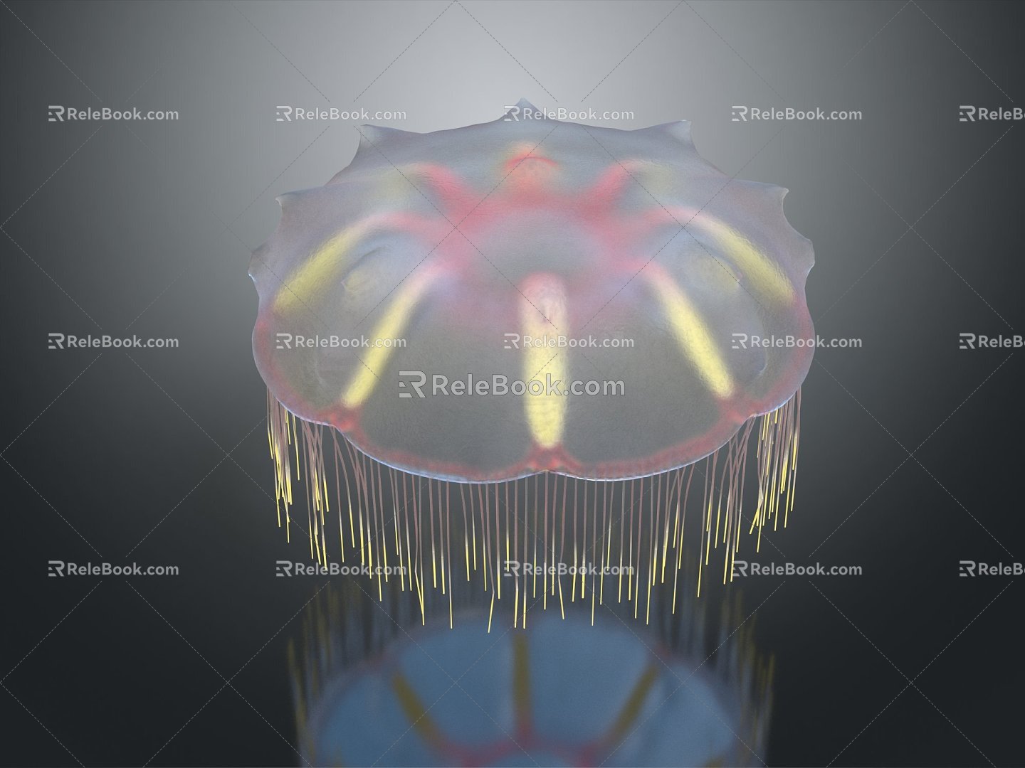 Modern Jellyfish Barrel Jellyfish Fireworks Jellyfish Silver Coin Jellyfish Flower Jellyfish 3d model