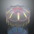 Modern Jellyfish Barrel Jellyfish Fireworks Jellyfish Silver Coin Jellyfish Flower Jellyfish 3d model