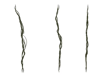 Natural Twisted Long Vines For Home Decor And Garden Decoration 3d model