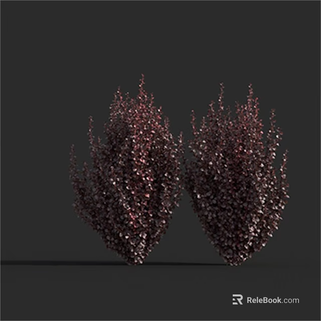 Two Dark Purple Lush Shrubs With Bushy Foliage On Dark Background 3d model 