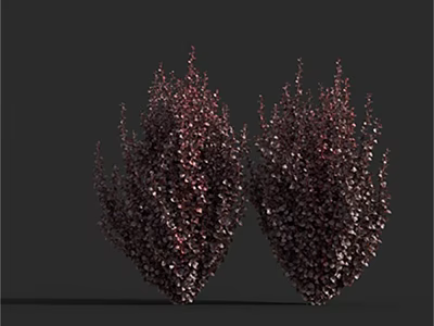 Two Dark Purple Lush Shrubs With Bushy Foliage On Dark Background 3d model