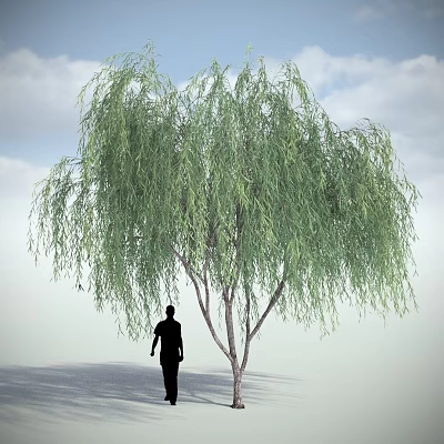 Tall Lush Willow Tree Under Blue Sky With White Clouds And Silhouette Of A Person Below 3d model