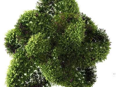 Lush Green Shrubs In Garden Landscape With Vibrant Foliage And Dense Growth 3d model