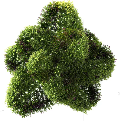 Modern Shrub Outdoor Green Plant 3d model