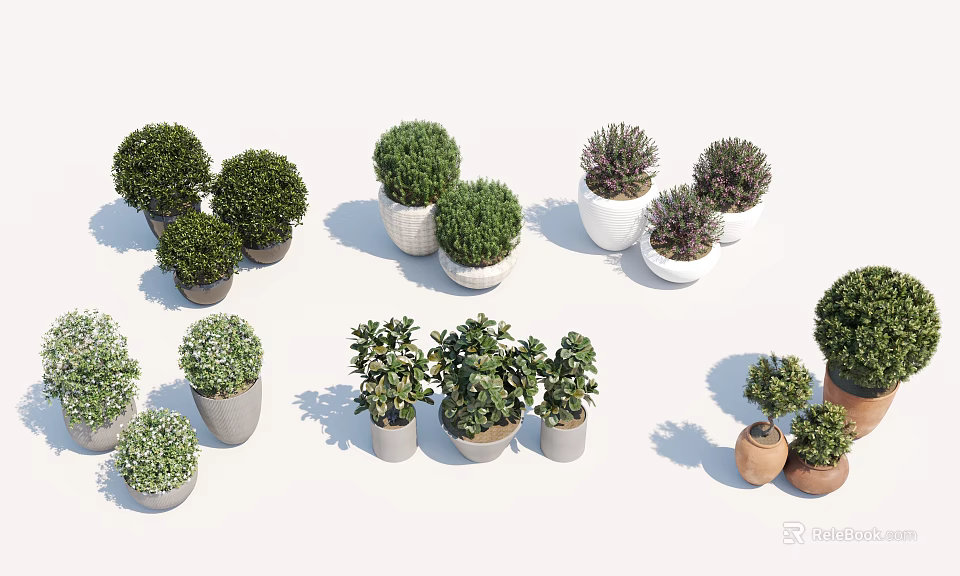 Various Bonsai Potted Plants With Different Green Foliage And Decorative Pots 3d model 