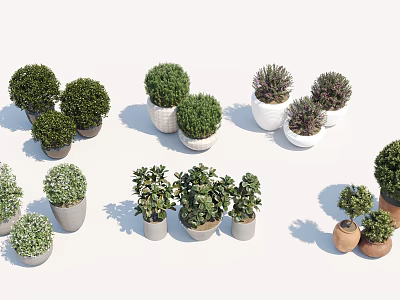Various Bonsai Potted Plants With Different Green Foliage And Decorative Pots 3d model