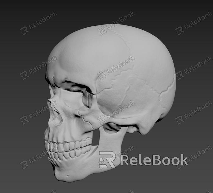 Skeleton model